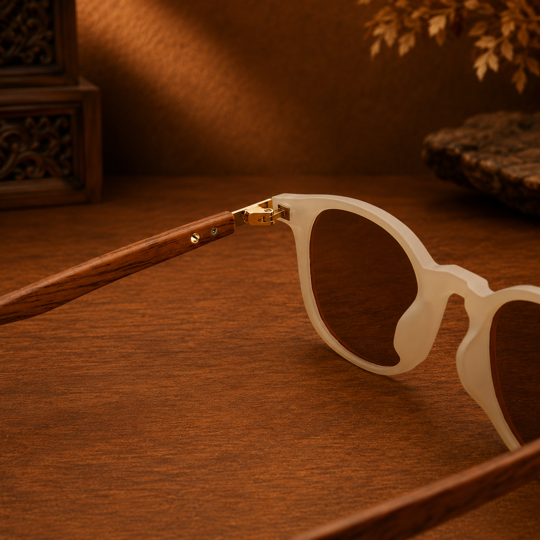 Premium Everyday Sunglasses